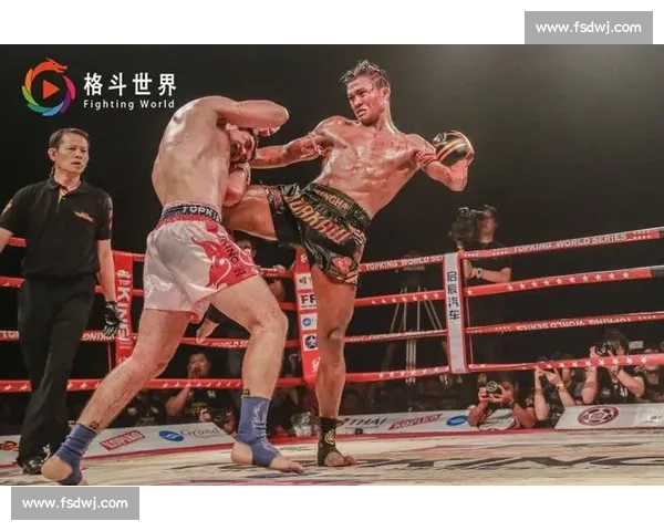 一龙对决播求三番战恩怨再起中国武术与泰拳巅峰碰撞宿命之夜胜负悬念